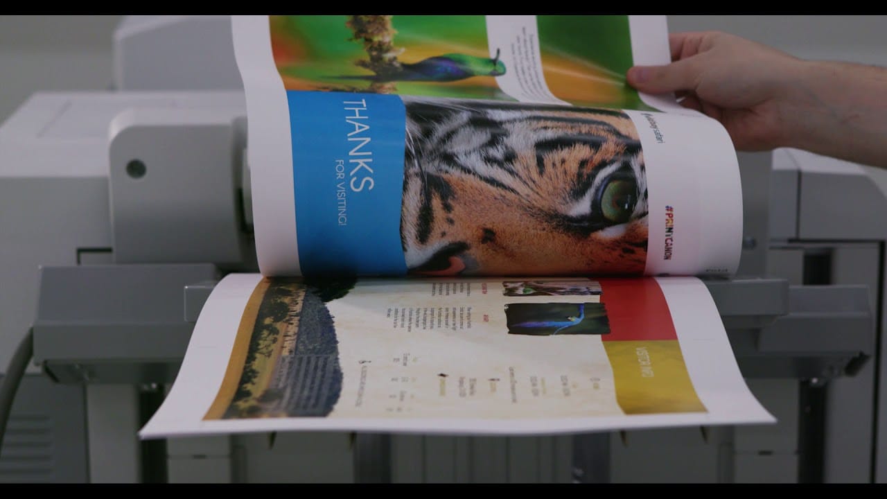 cost to print a catalog